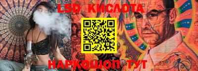 прущие крисы Моздок