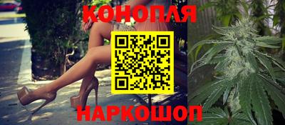 прущие грибы Можайск
