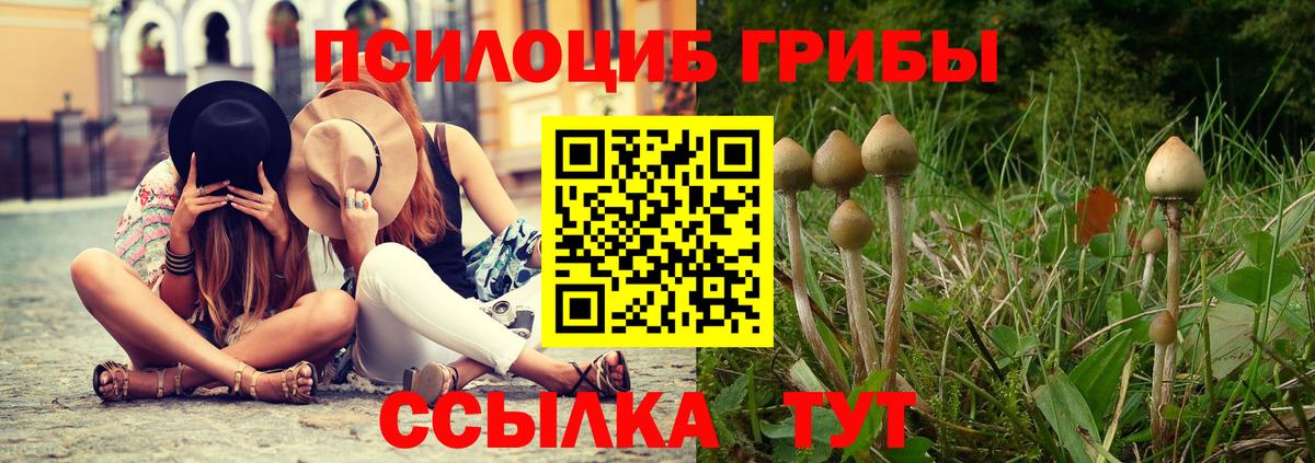 Галлюциногенные грибы GOLDEN TEACHER  Псилоцибиновые грибы мухоморы  Шарыпово  Вход с VPN 